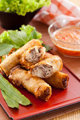 Spring rolls