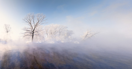 amazing landscape with frozen snow-covered trees in winter morning 
