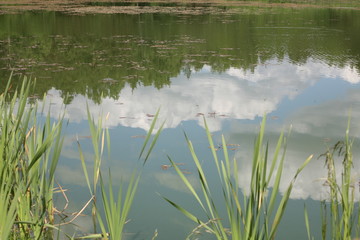 Karelia.. The reflection.