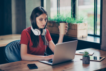 Concentrated freelancer girl checks the work post and answers letters from the laptop, sitting in a quiet cafe with paper cup of hot coffee