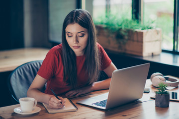 Brunette intelligent girl studying in cafe, using laptop with free access to the internet and...