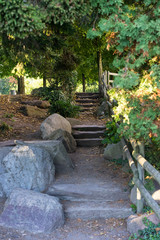 stone stairs in park with tree and wooden handrail