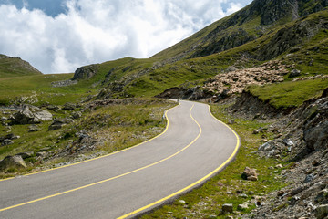 Flock of sheep on the paved road