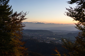 sunset panorama landscape with tree in foreground