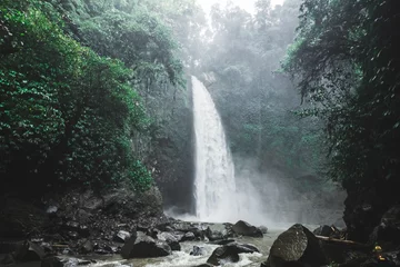 Poster Bali Wasserfall Nung-Nung im tiefen Dschungel © Oleg Breslavtsev