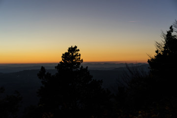 Fototapeta na wymiar sunset scene with orange sky and tree