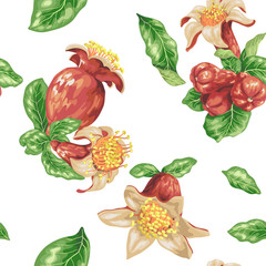 Seamless pattern with pomegranate fruits, buds and flowers in vector