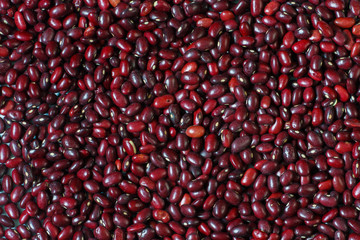 красная аппетитная фасоль, бобовые