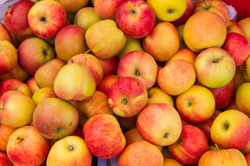 Small fresh apples. Lot for sale , Thailand.