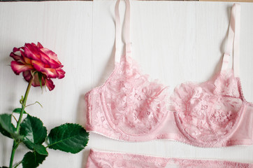 Sexy pink lingerie set with stocking suspender. Lace underwear on the white background with rose behind it.