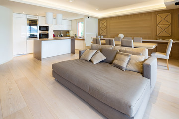 Spacious living room in modern apartment with parquet and elegant sofa