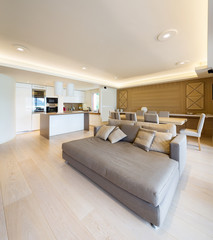 Spacious living room in modern apartment with parquet and elegant sofa