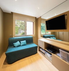 Elegant study with sofa, window and television