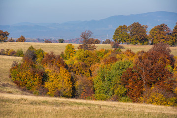 Naklejka premium Colorful autumn landscape