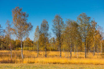 Autumn in Transylvania