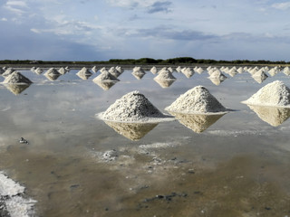Natural sea salt .