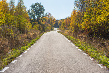 Fototapeta na wymiar Forest road in the autumn