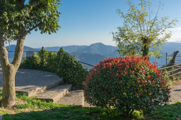 Spring shot of a green & red bush & a tree close to a stairway & a viewpoint to a mountain range at Catalonia, Spain