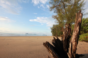 the beach on summer and holiday for your family.