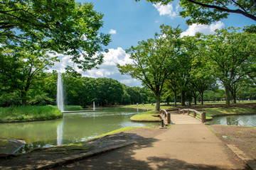 代々木公園