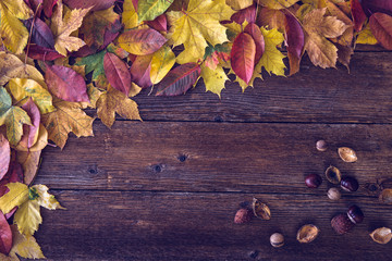 Obraz premium Autumn background, space for text