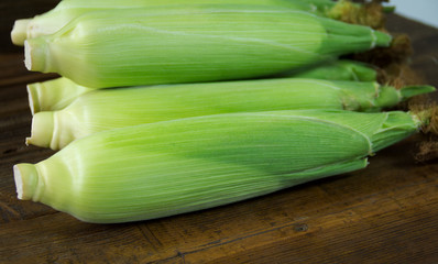 Freshly picked unpolished corn on a wooden background