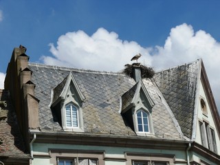Nid de cigognes sur un toit de la ville de Munster en Alsace. France