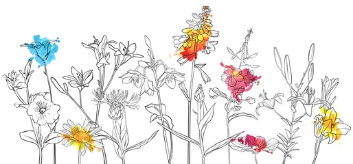 Foto op Plexiglas anti-reflex vector drawing flowers © cat_arch_angel