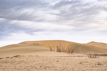 Fototapeta na wymiar Scenic view of sandy dune hills at sunset 