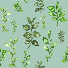 Botanical pattern of green branches and leaves floral Design