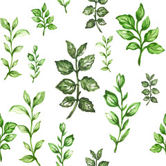 Botanical pattern of green branches and leaves floral Design