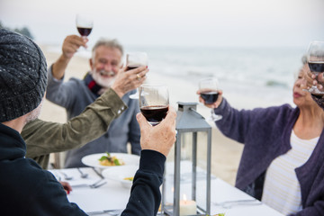 Seniors toasting with red wine at the beach