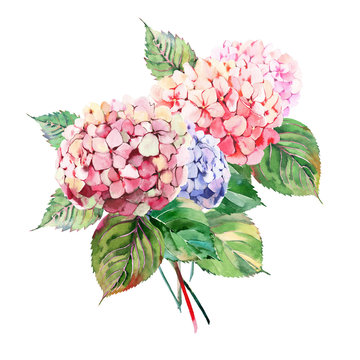 Beautiful bright elegant autumn wonderful colorful tender gentle pink herbal floral hydrangea flowers with green leaves bouquet watercolor hand illustration.