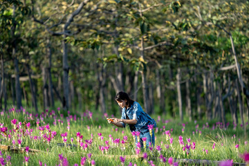 Young woman enjoying taking photo of pink flower field in Thailand