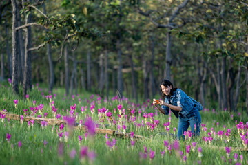 Young woman enjoying taking photo of pink flower field in Thailand