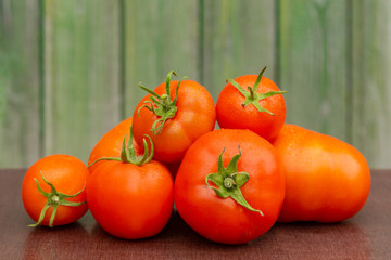 Harvest of ripe tomatoes
