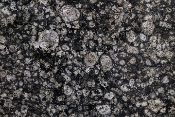 Dark marble texture