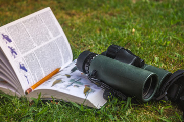 Binoculars and Bird Guide