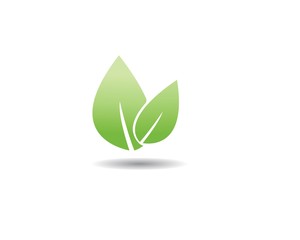Logo of green leaf ecology