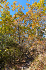 秋のハイキングコース