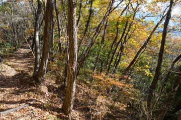 秋のハイキングコース