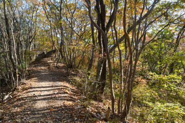 秋のハイキングコース