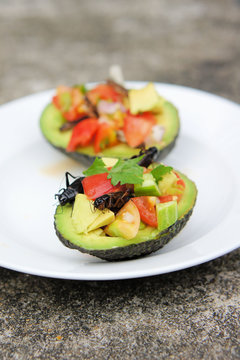 Cricket Ceviche served in an Avocado