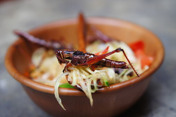 Thai Papaya Salad with a Grasshopper