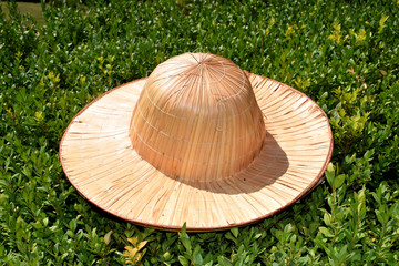 słomkowy kapelusz © Ola.P_G