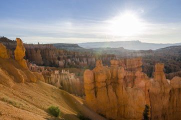 landscape on the bryce canyon in the united states of america