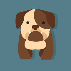 cute bulldog flat style