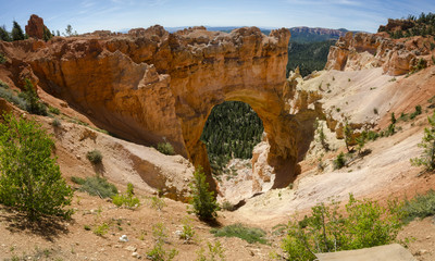 landscape on the bryce canyon in the united states of america