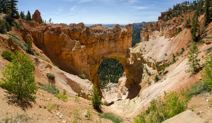 landscape on the bryce canyon in the united states of america