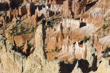 landscape on the bryce canyon in the united states of america